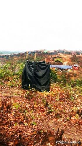 Rohingya Support - OrphansBD Foundation